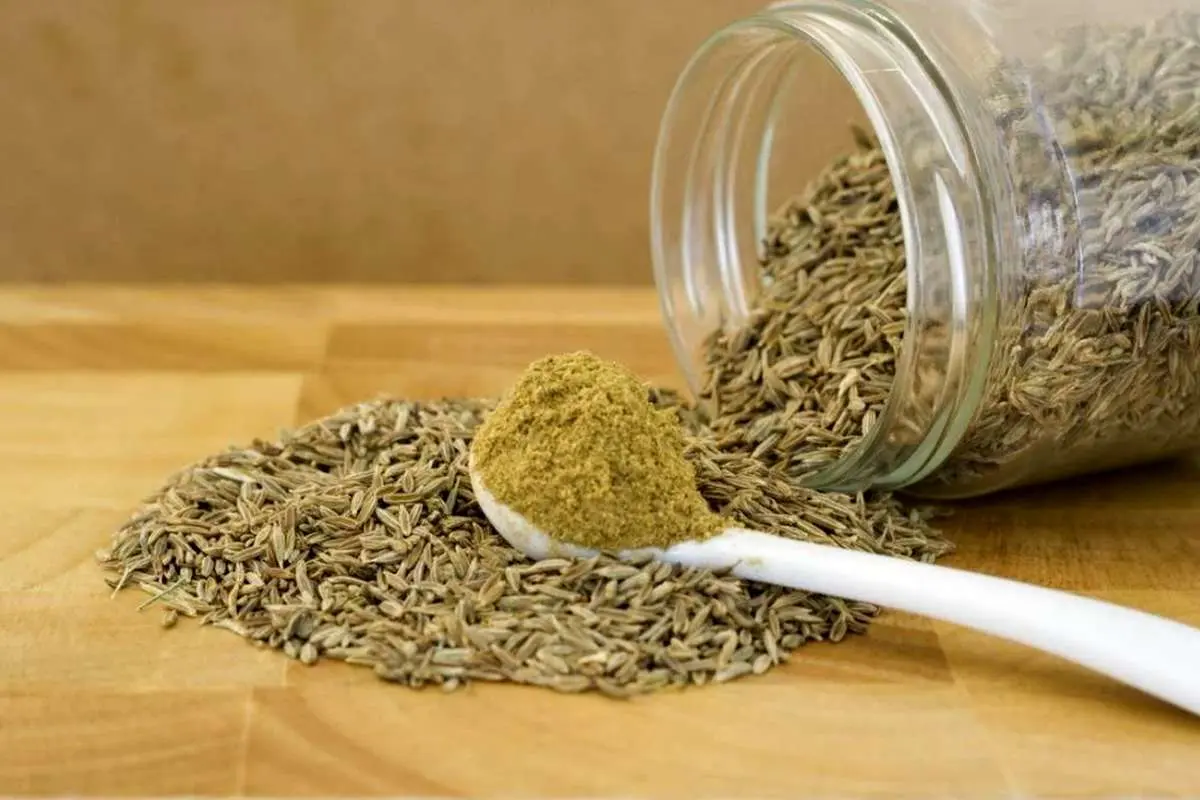 پودر زنیان ادویه گرم ایرانی با قدرت ضدعفونی و هضم آسان